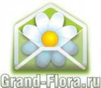 Логотип компании Доставка цветов Гранд Флора (ф-л г.Давлеканово)